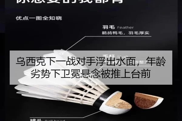 乌西克下一战对手浮出水面，年龄劣势下卫冕悬念被推上台前